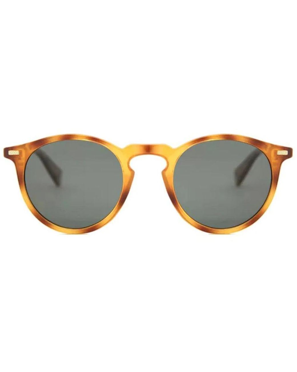 Polaroid Brown Sunglasses for men
