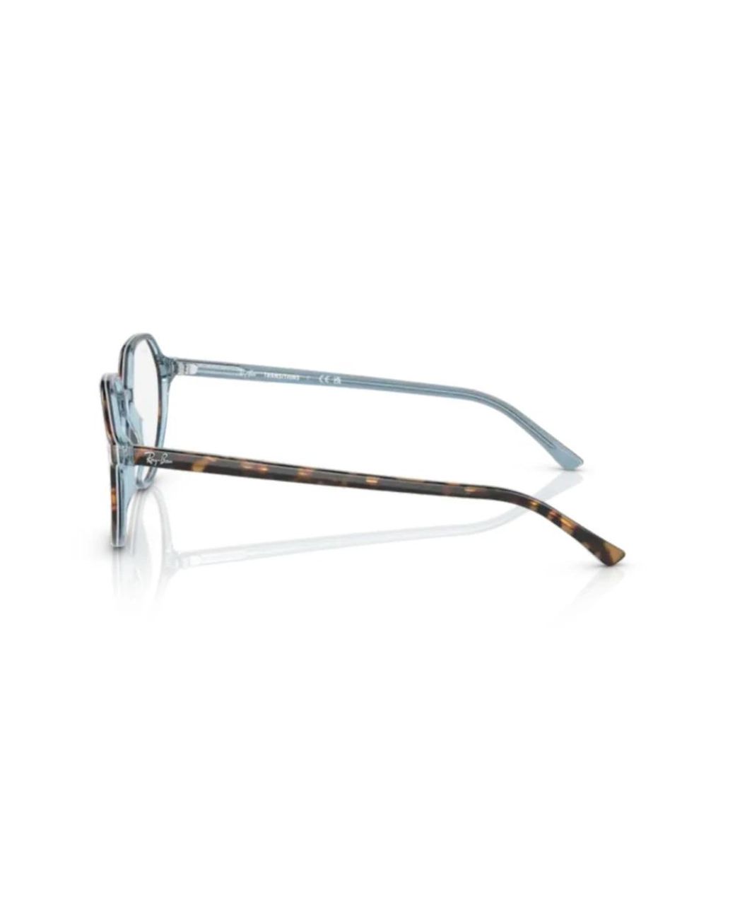 Ray-Ban Brown Glasses