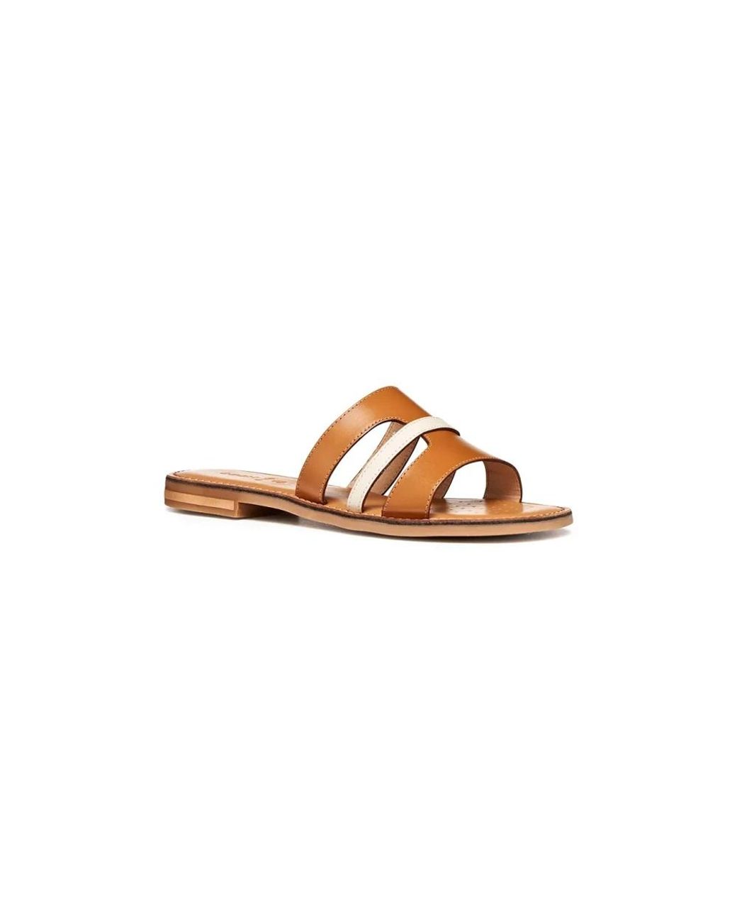 Sliders di Geox in Brown