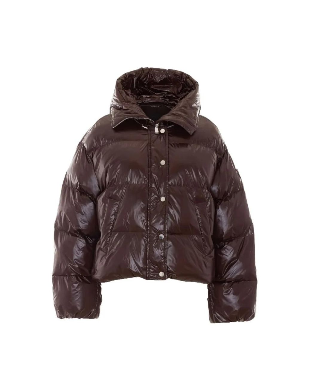 Pinko Brown Winter Jackets