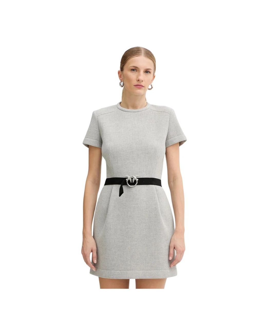 Pinko Jurk Van Wolmix in het Gray