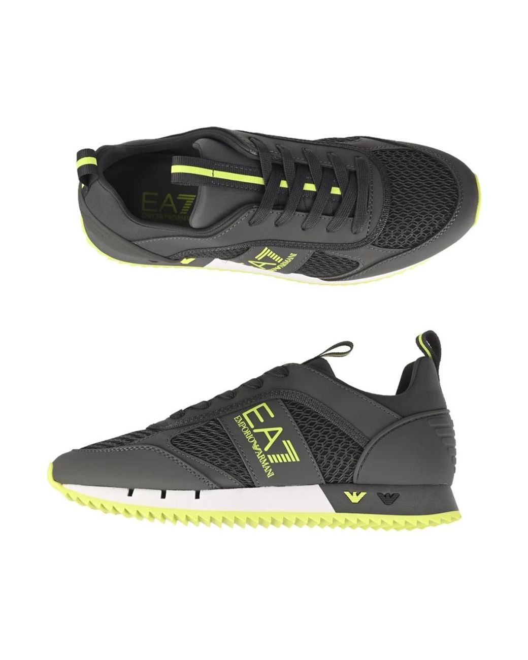 EA7 Gray Sneakers for men