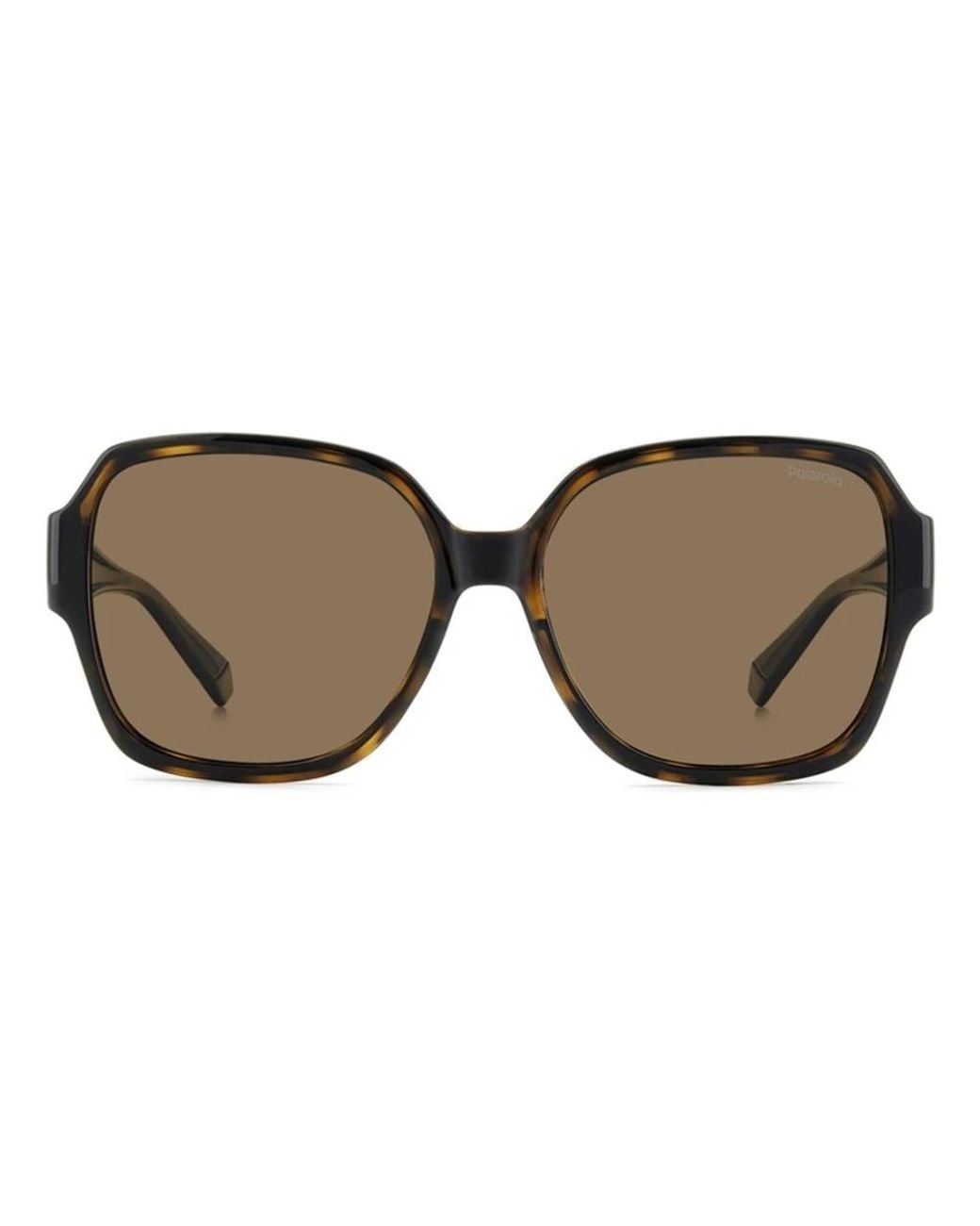 Polaroid Brown Sunglasses