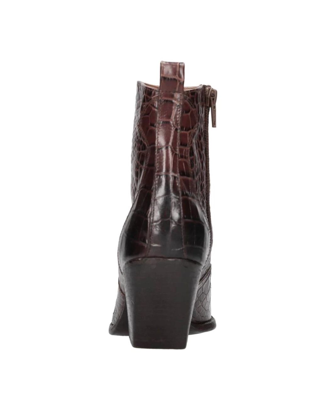 Elena Iachi Brown Cowboy & Biker Boots