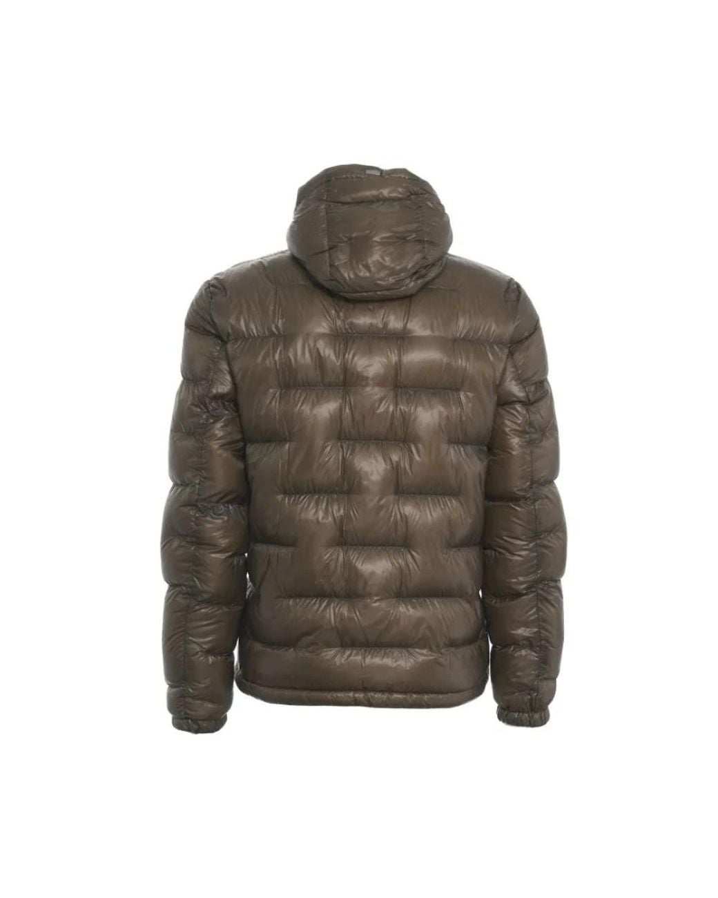 Winter Jackets di Herno in Green da Uomo