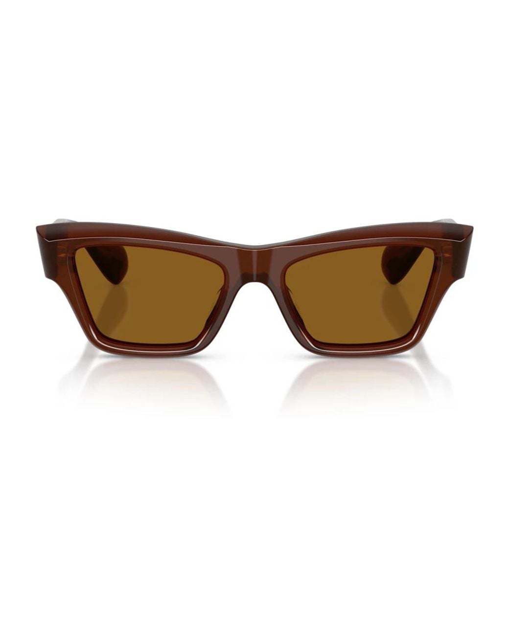 Oliver Peoples Brown Sunglasses