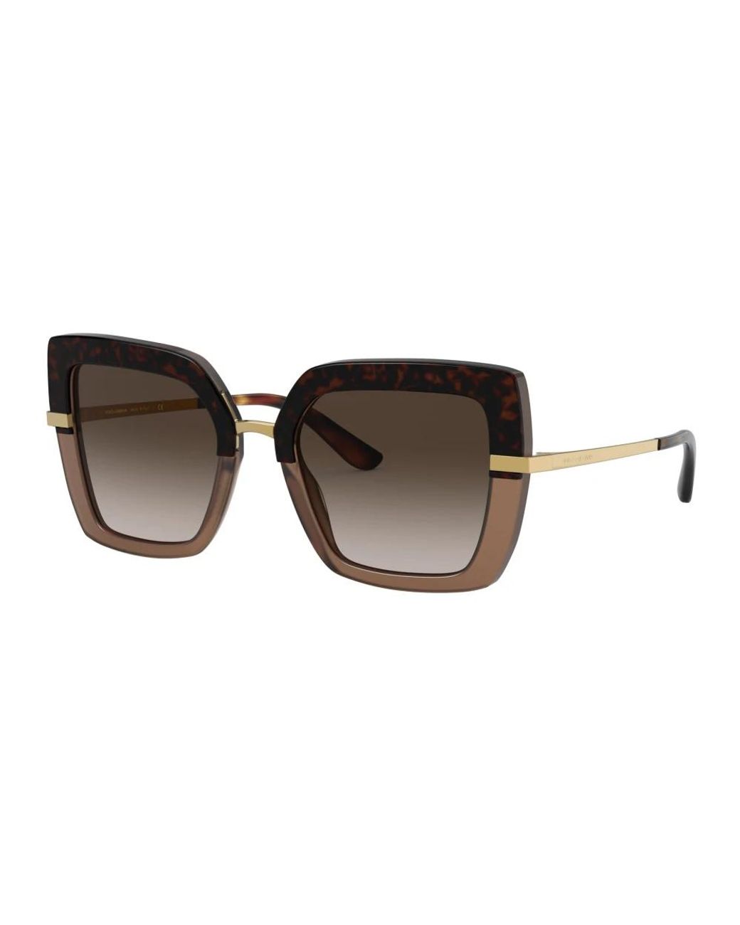 Dolce & Gabbana Brown Dolce & Gabbana Sunglasses