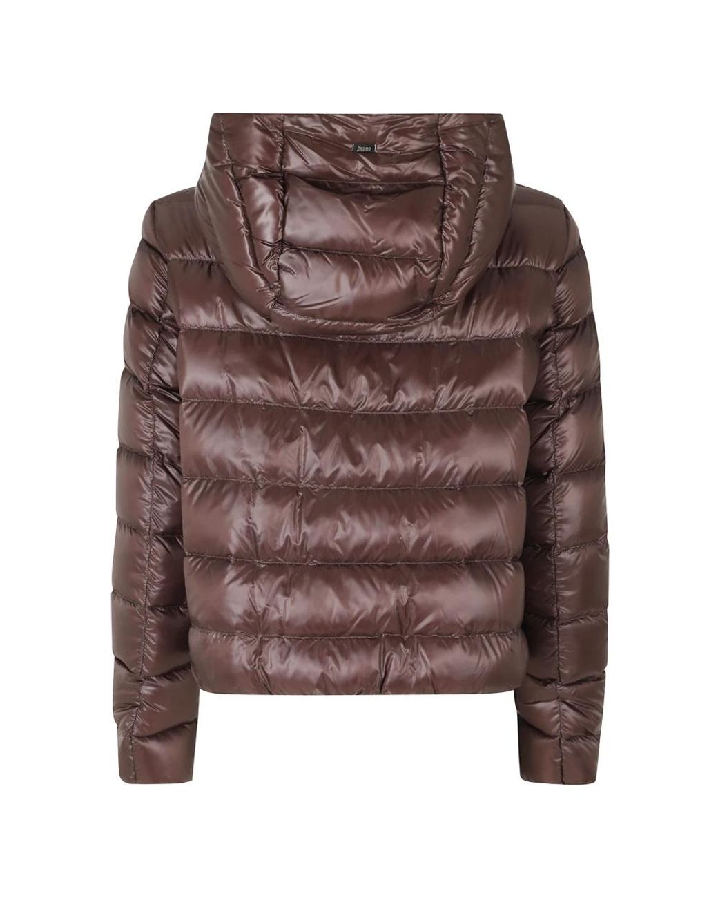 Herno Brown Winter Jackets