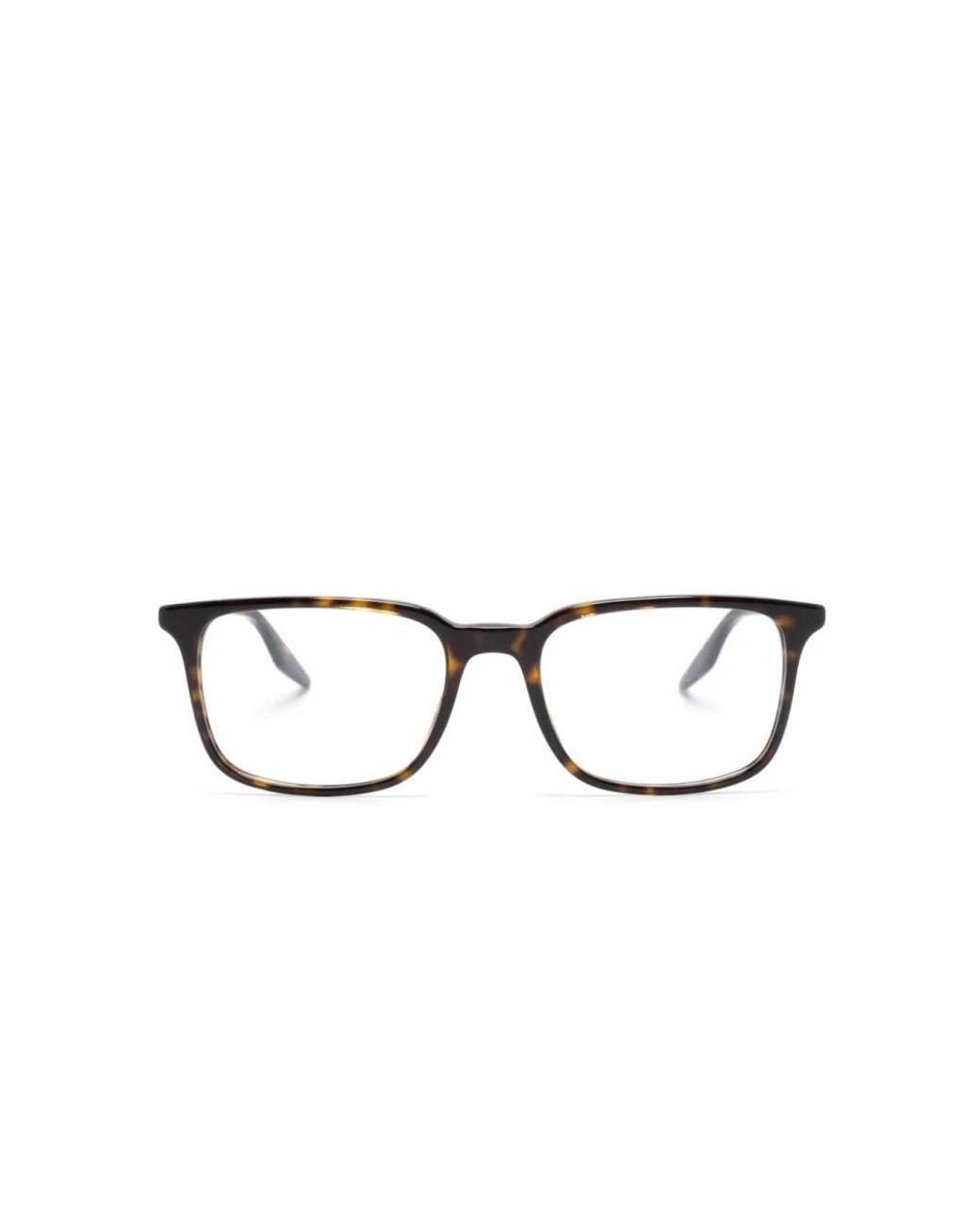 Ray-Ban Brown Glasses