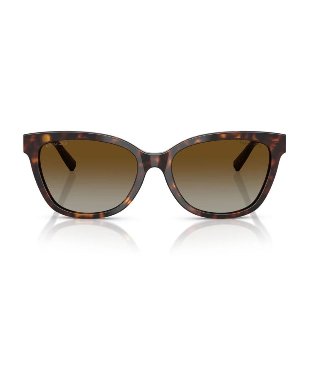 Tiffany & Co Brown Sunglasses