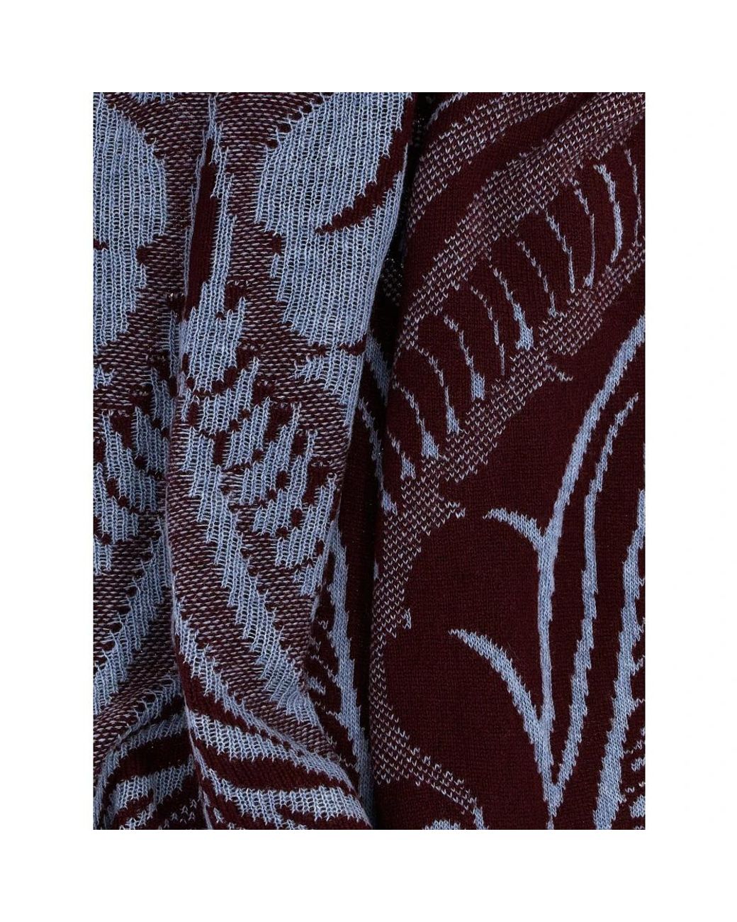 Winter Scarves di Etro in Blue