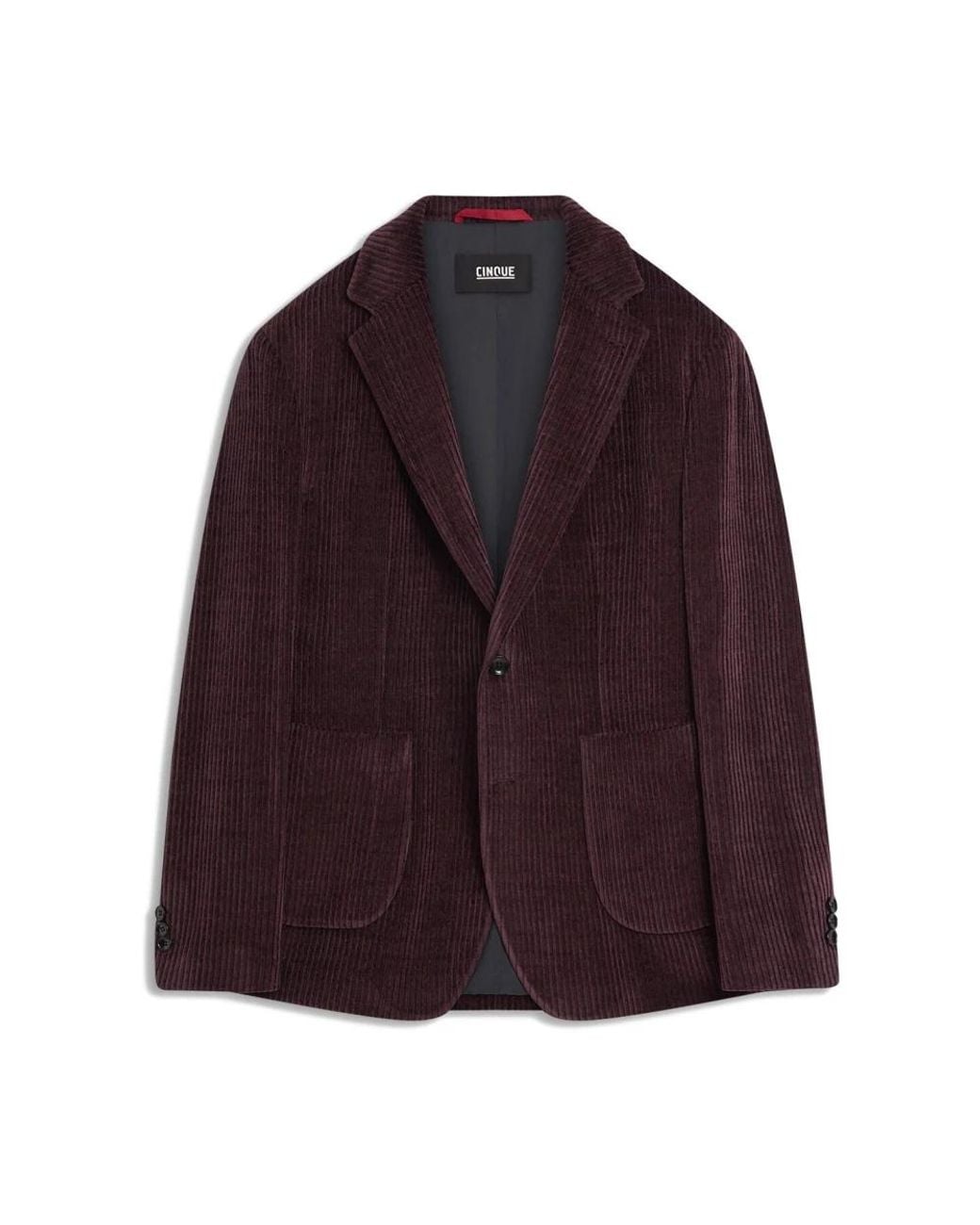 Cinque Blazer in Purple für Herren