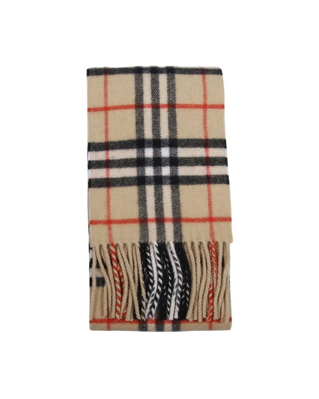 Burberry Multicolor Winter Scarves