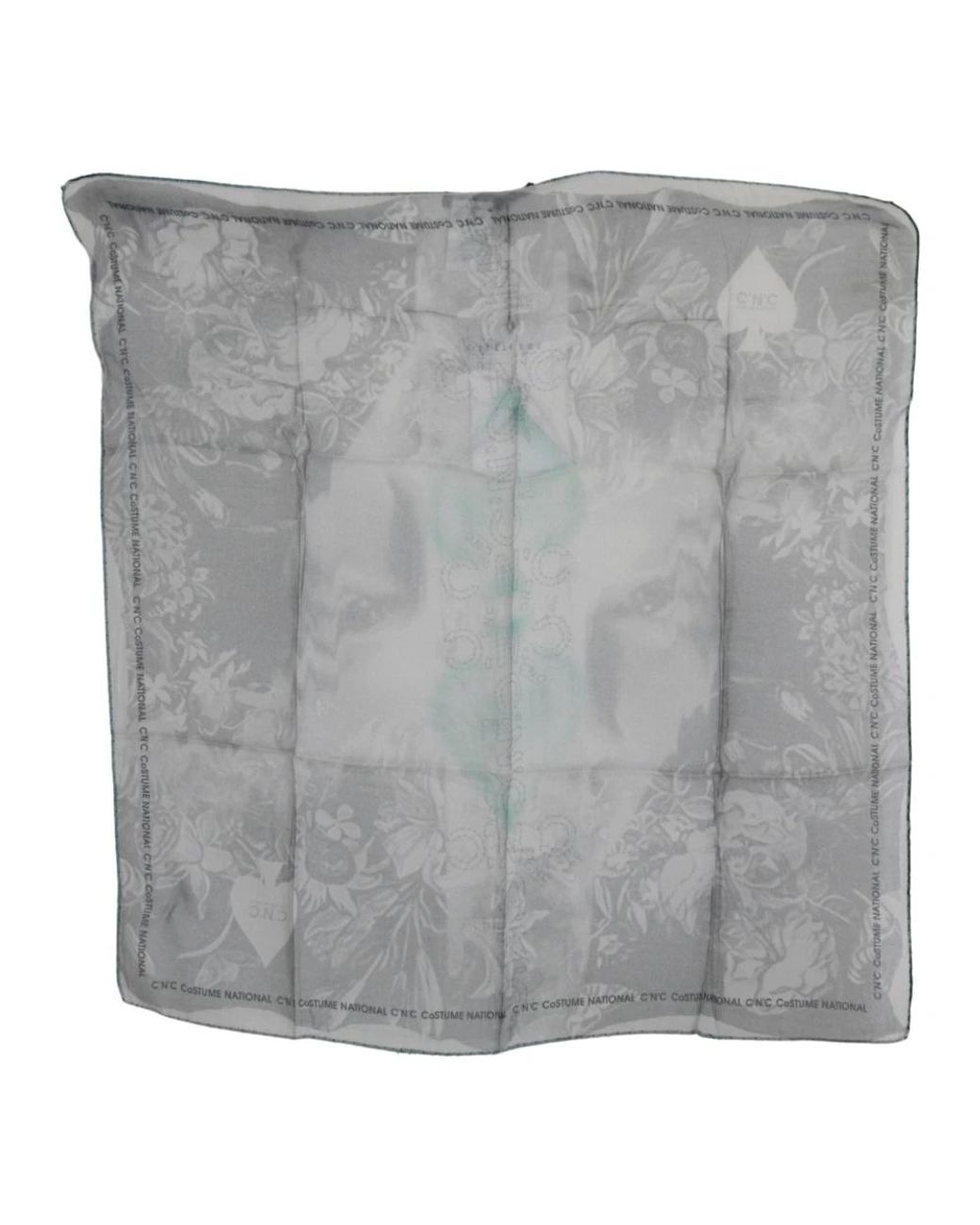 CoSTUME NATIONAL Gray Silky Scarves