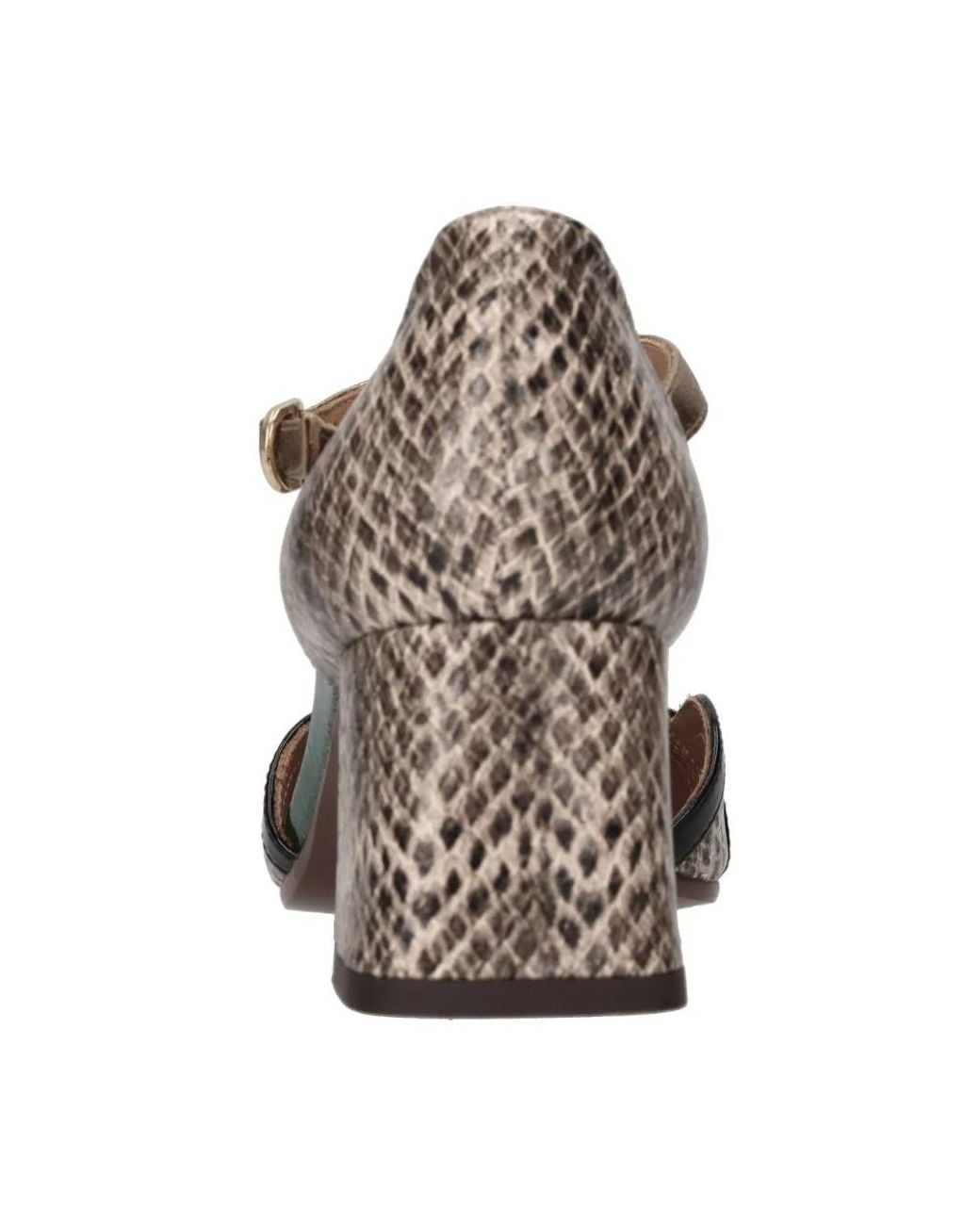 Pumps Chie Mihara en coloris Brown