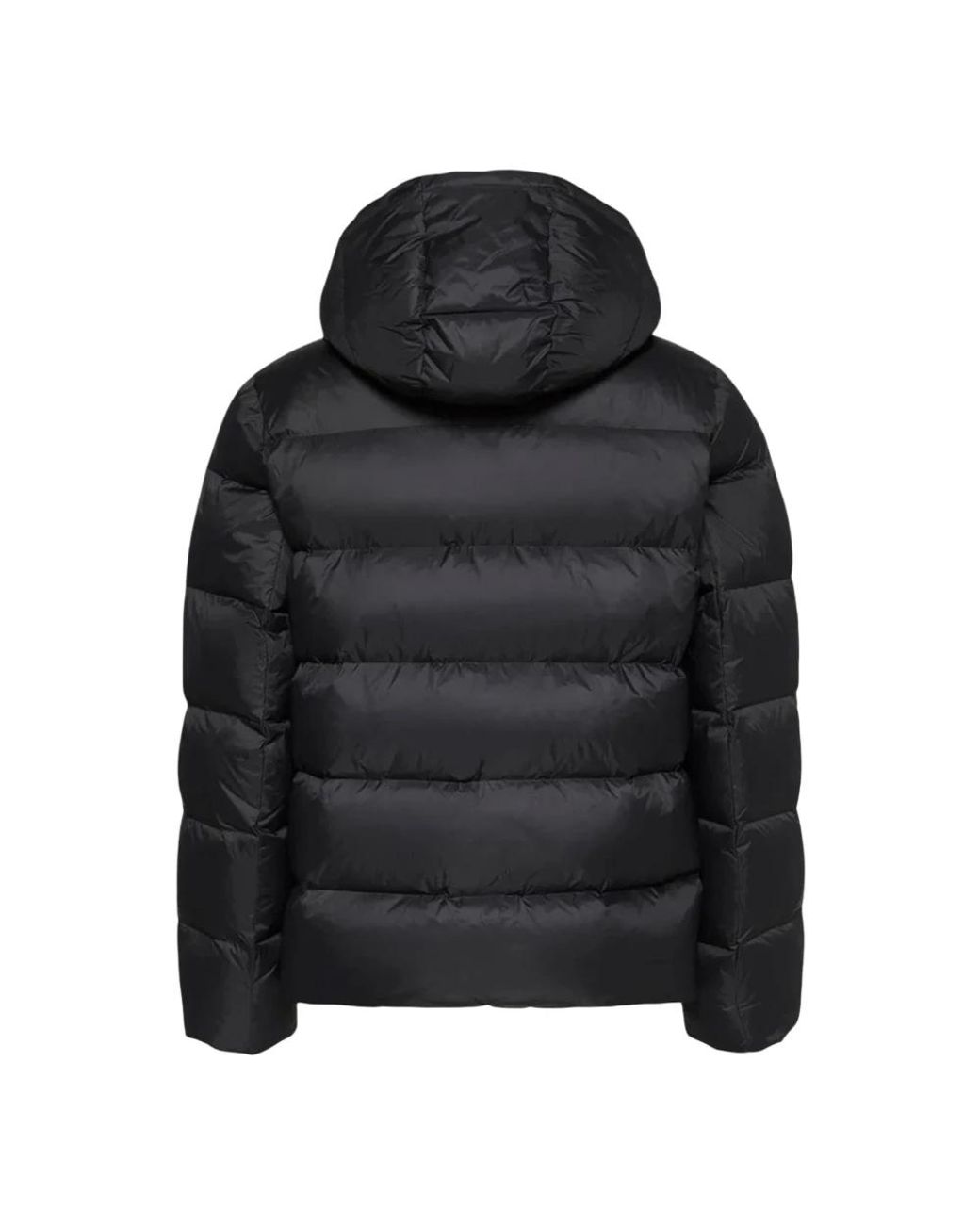Winter Jackets di Calvin Klein in Black da Uomo