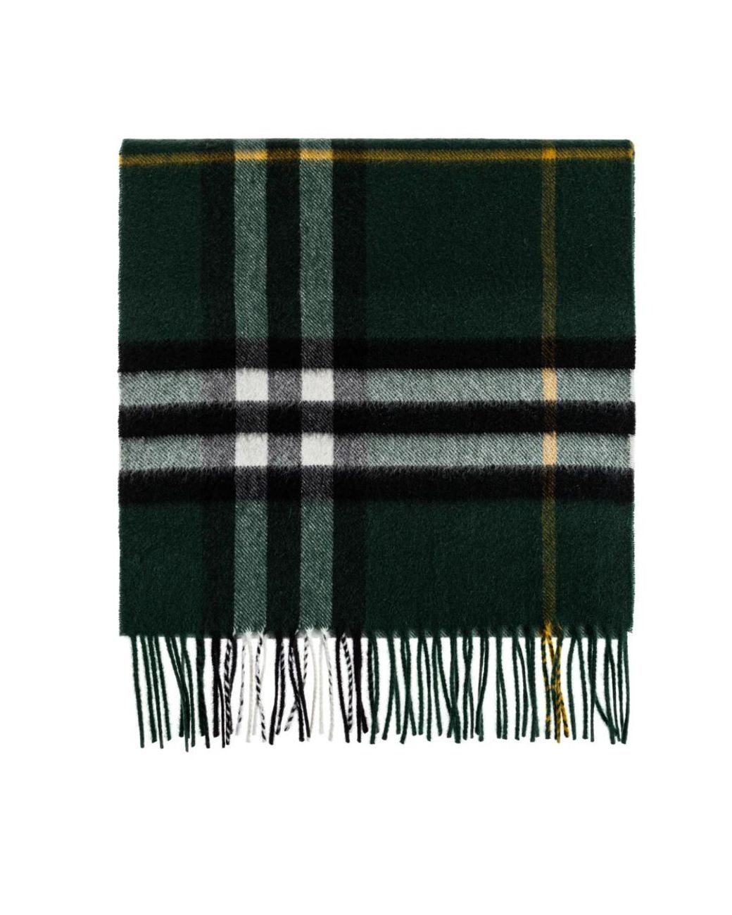 Burberry Green Winter Scarves