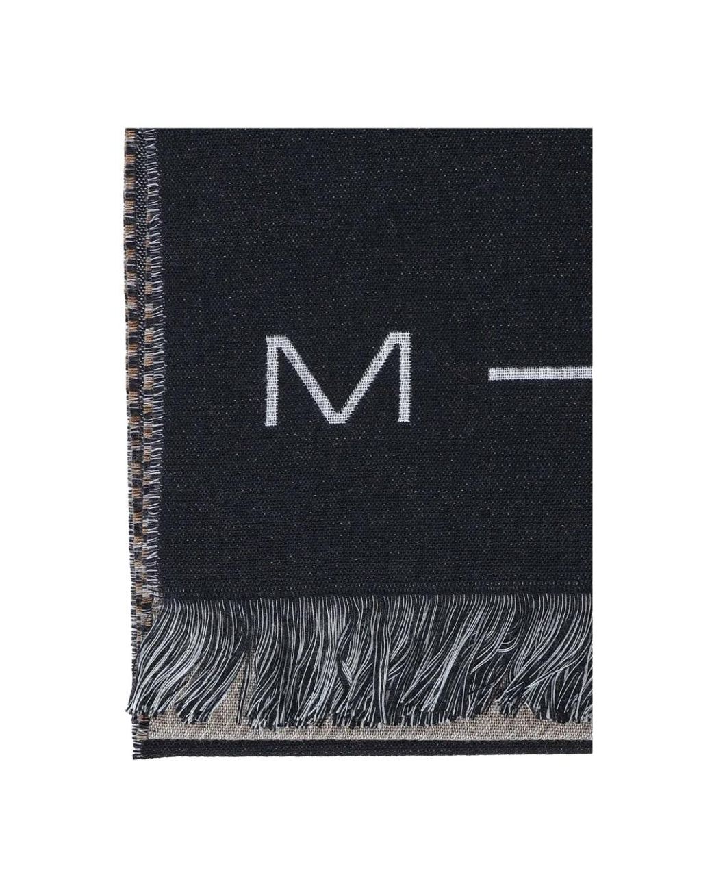 Max Mara Blue Winter Scarves
