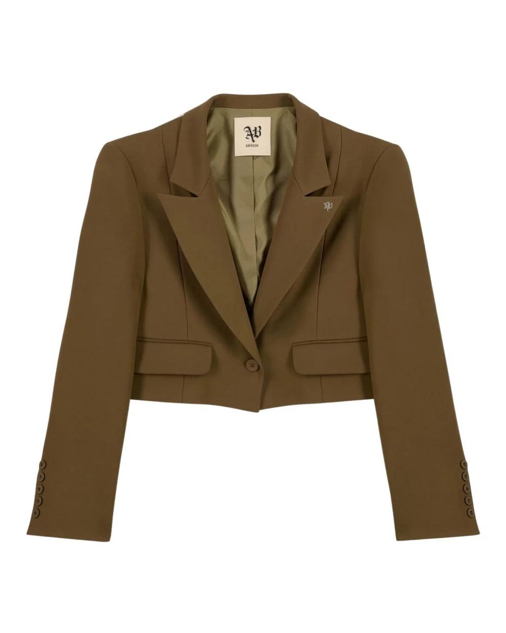 Aniye By Green Blazers