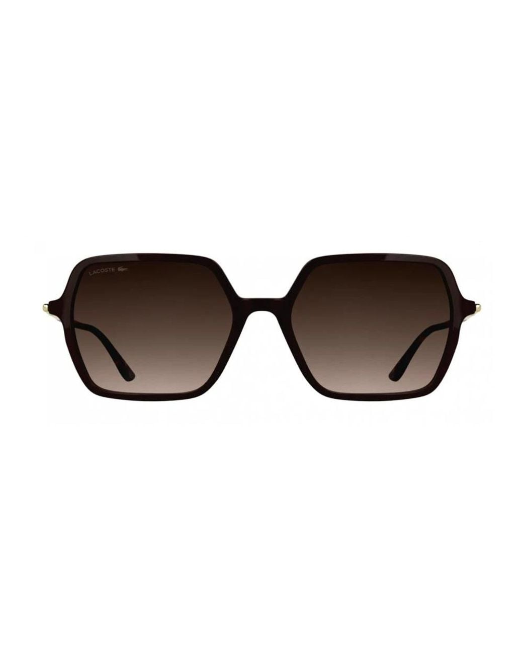 Lacoste Brown Sunglasses