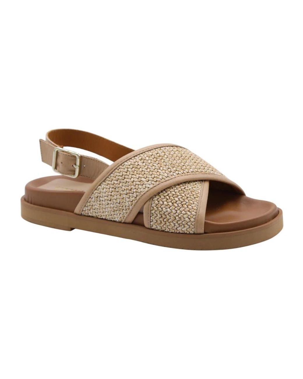 CTWLK Brown Flat Sandals