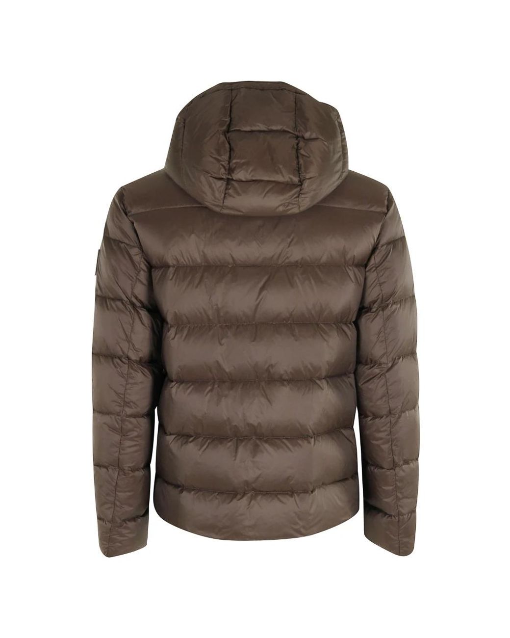 Fay Jassen ,Bruin ,Nylon Db Front Piuma Cappuccio in het Brown voor heren