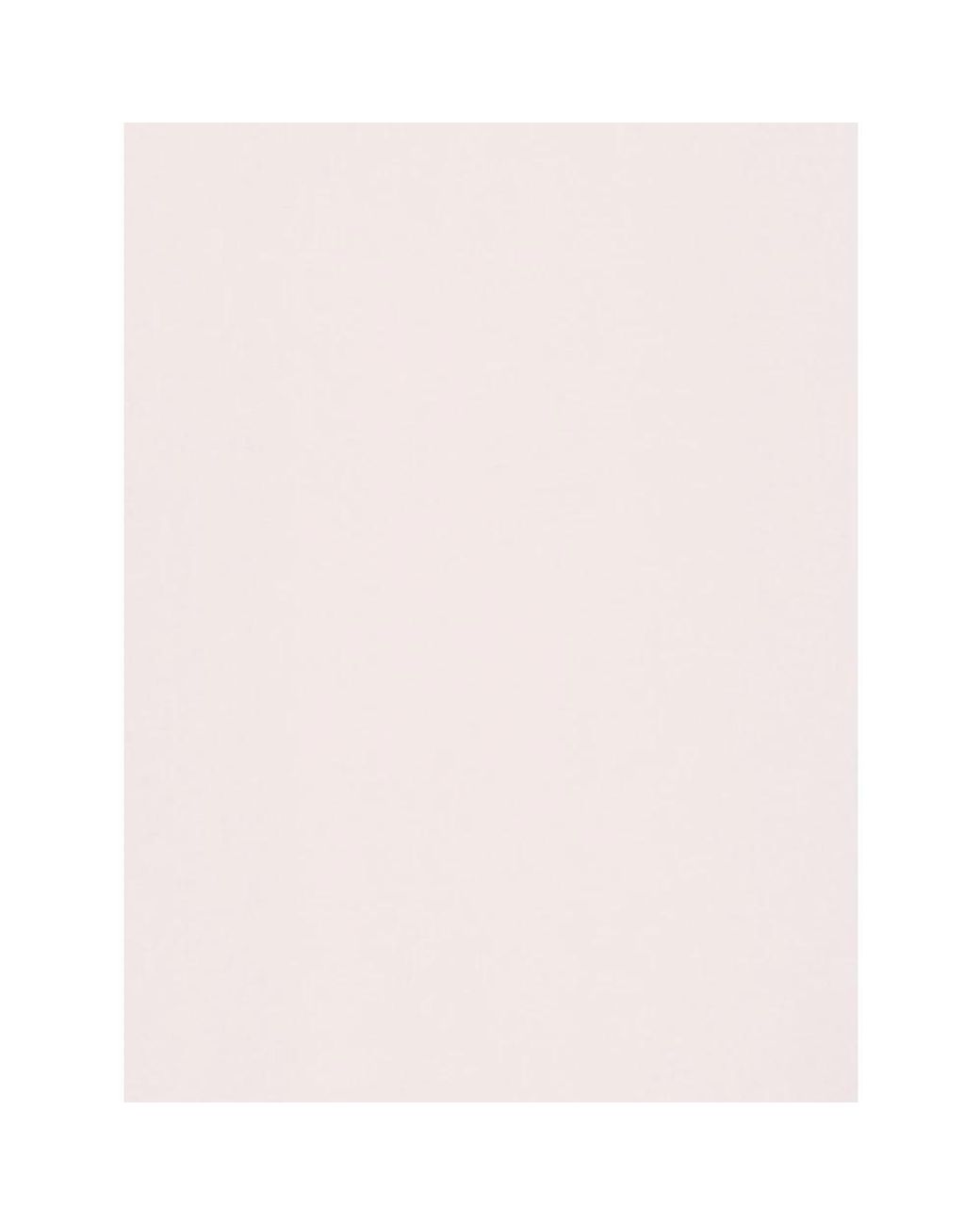 Fabiana Filippi Pink Scarves