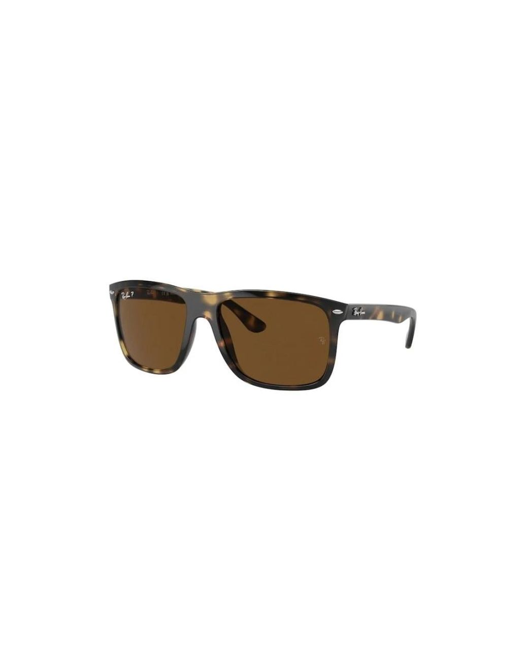 Ray-Ban Brown Sunglasses