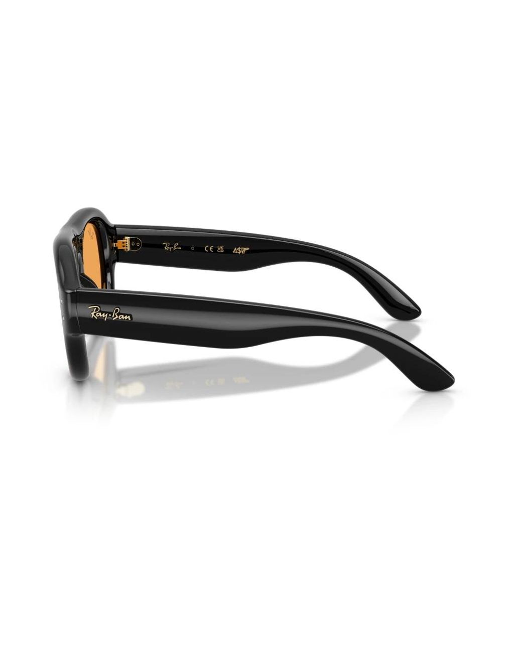 Ray-Ban Brown Sunglasses
