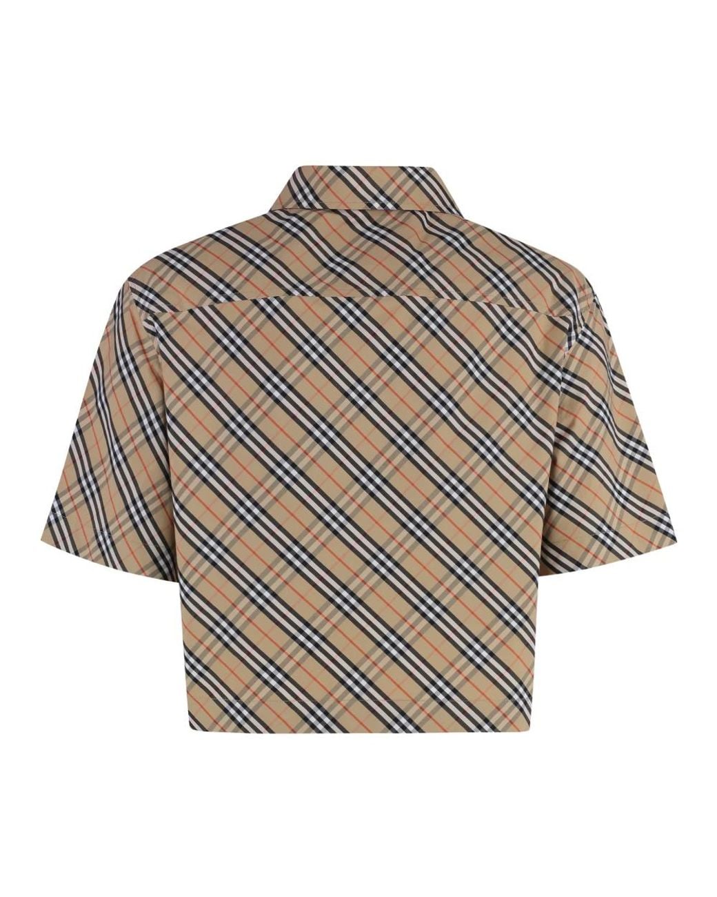 Burberry Brown Shirts