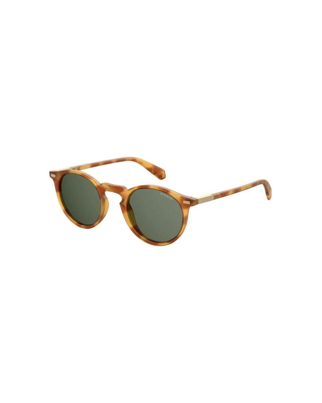 Polaroid Brown Sunglasses for men
