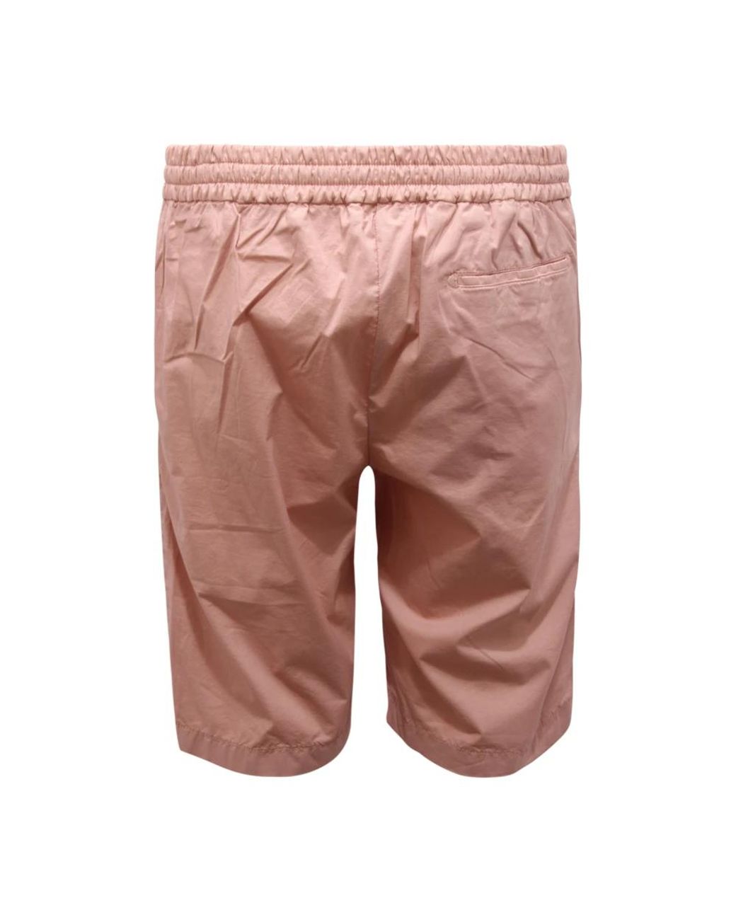 Berwich Pink Casual Shorts for men