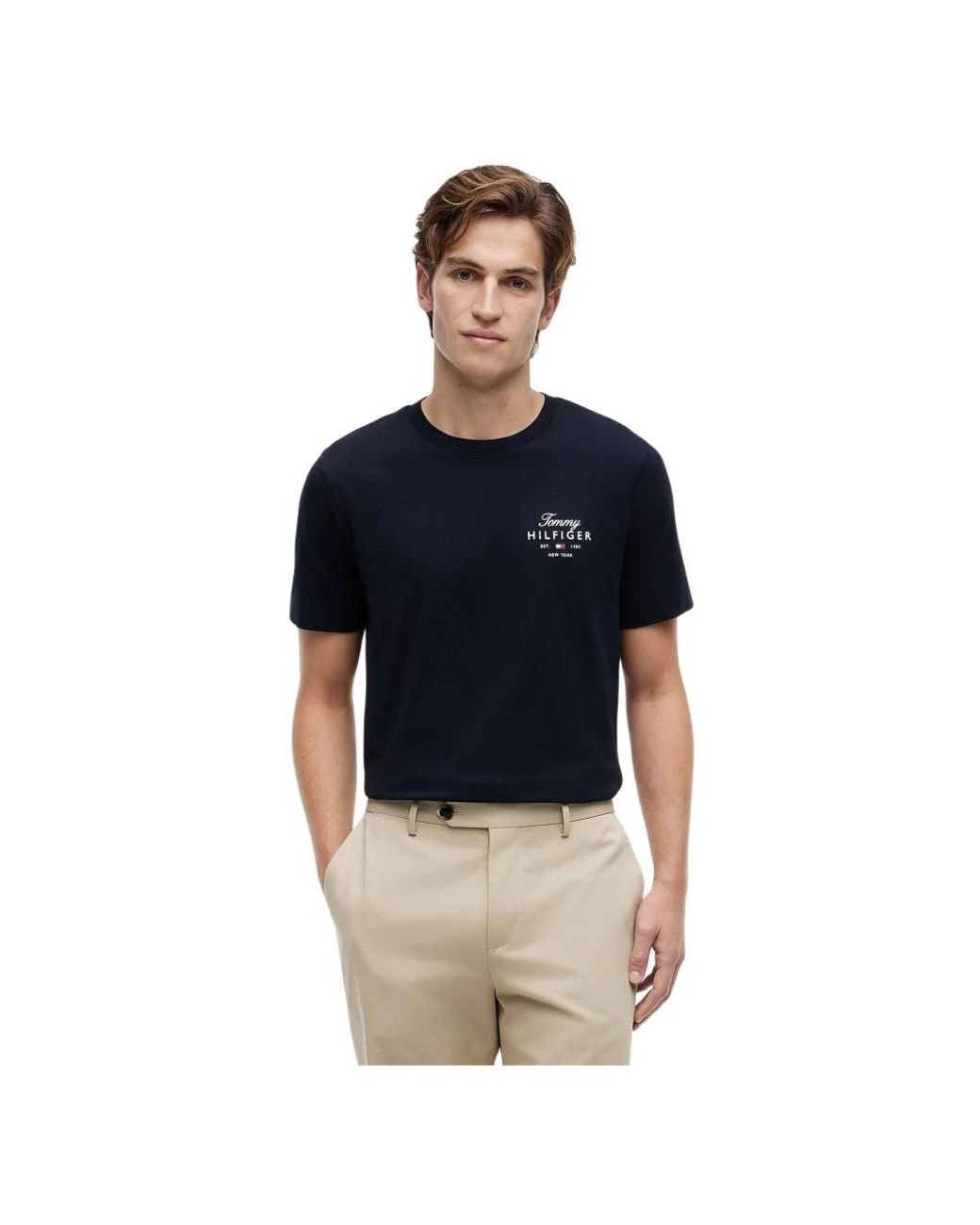 Tommy Hilfiger Blue T-Shirts for men