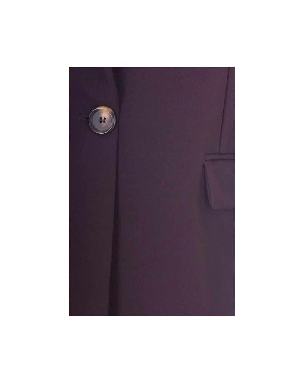 Blazers Pinko de color Blue