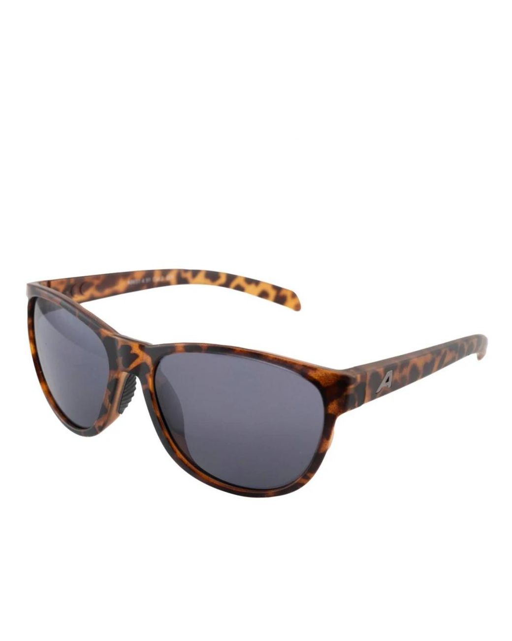 Sunglasses di Alpina in Brown