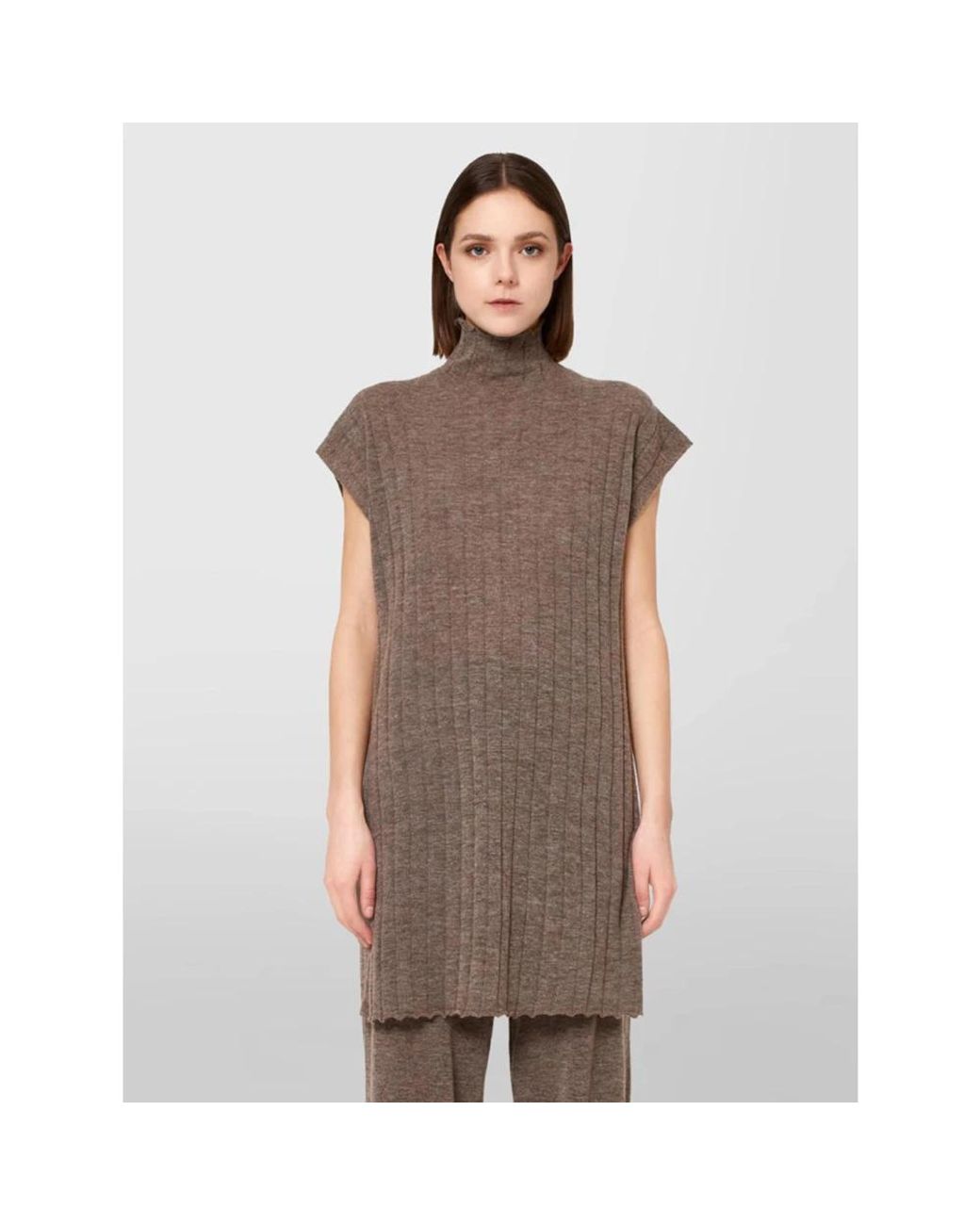 Turtlenecks Alpha Studio de color Brown