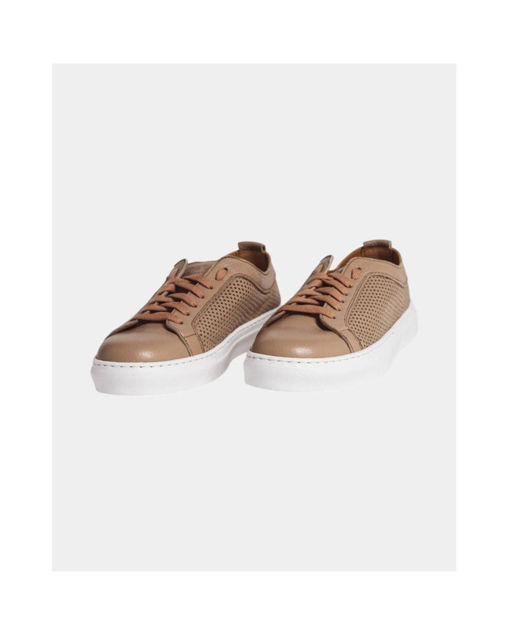 Calce Brown Sneakers for men