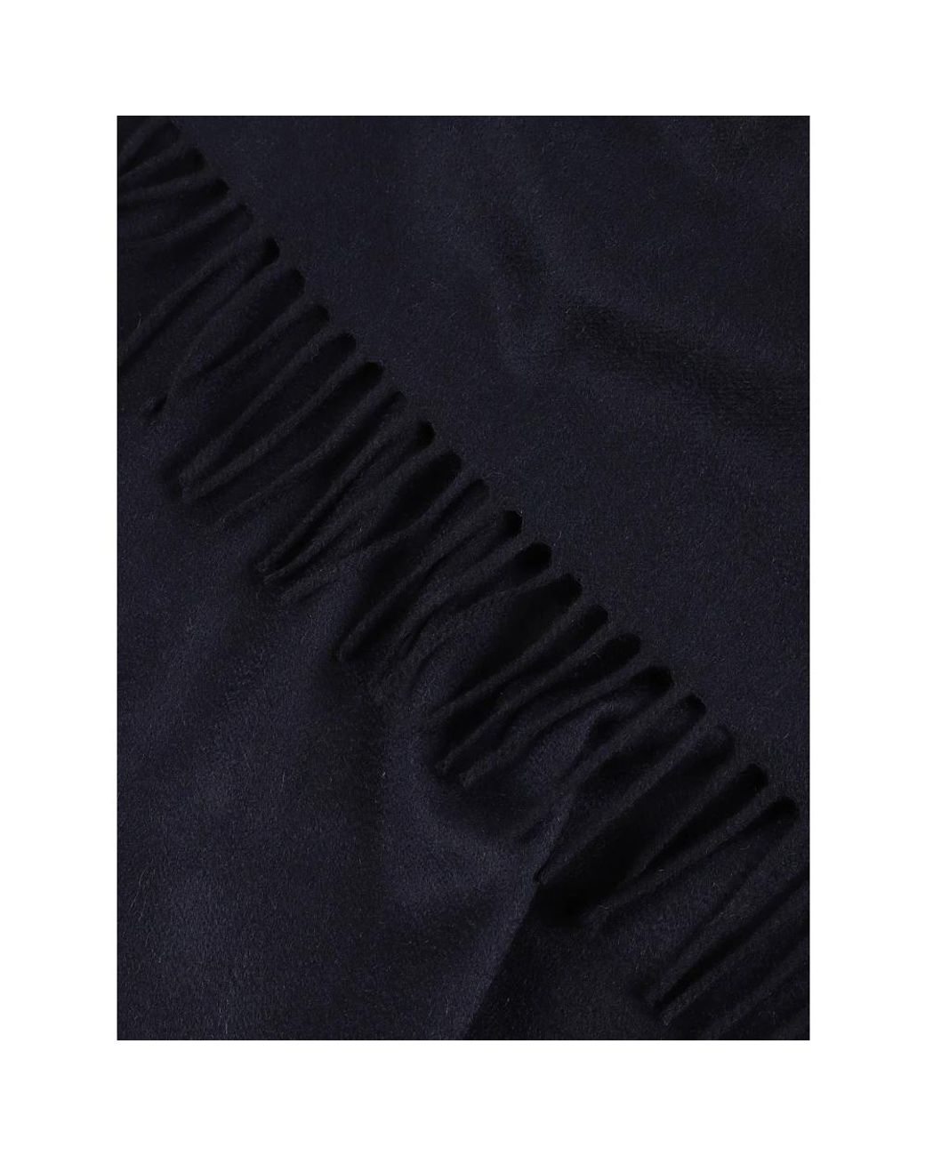 Winter Scarves Lardini pour homme en coloris Blue