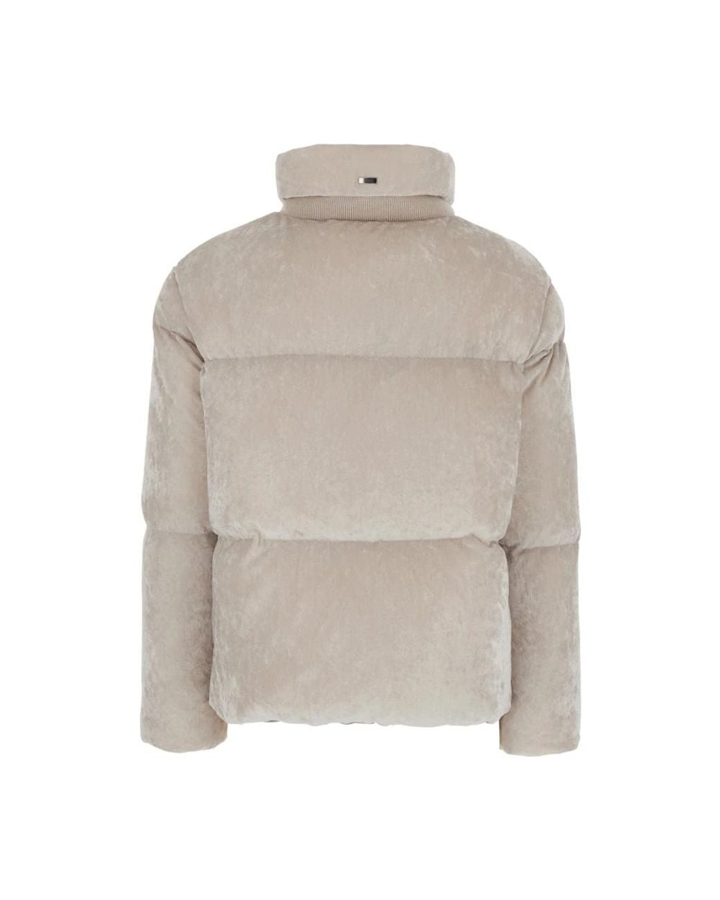 Winter Jackets Herno de color Gray
