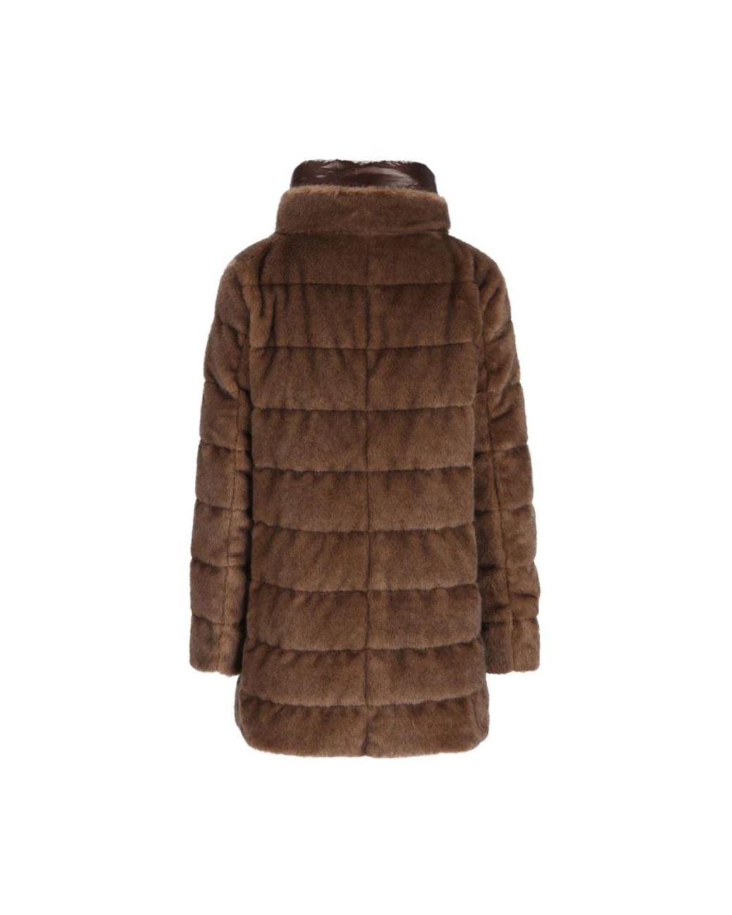 Down Jackets Herno de color Brown