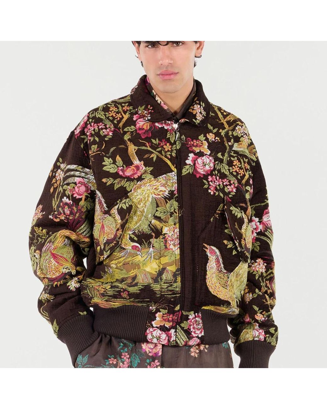 Bomber Jackets Roberto Cavalli de hombre de color Brown