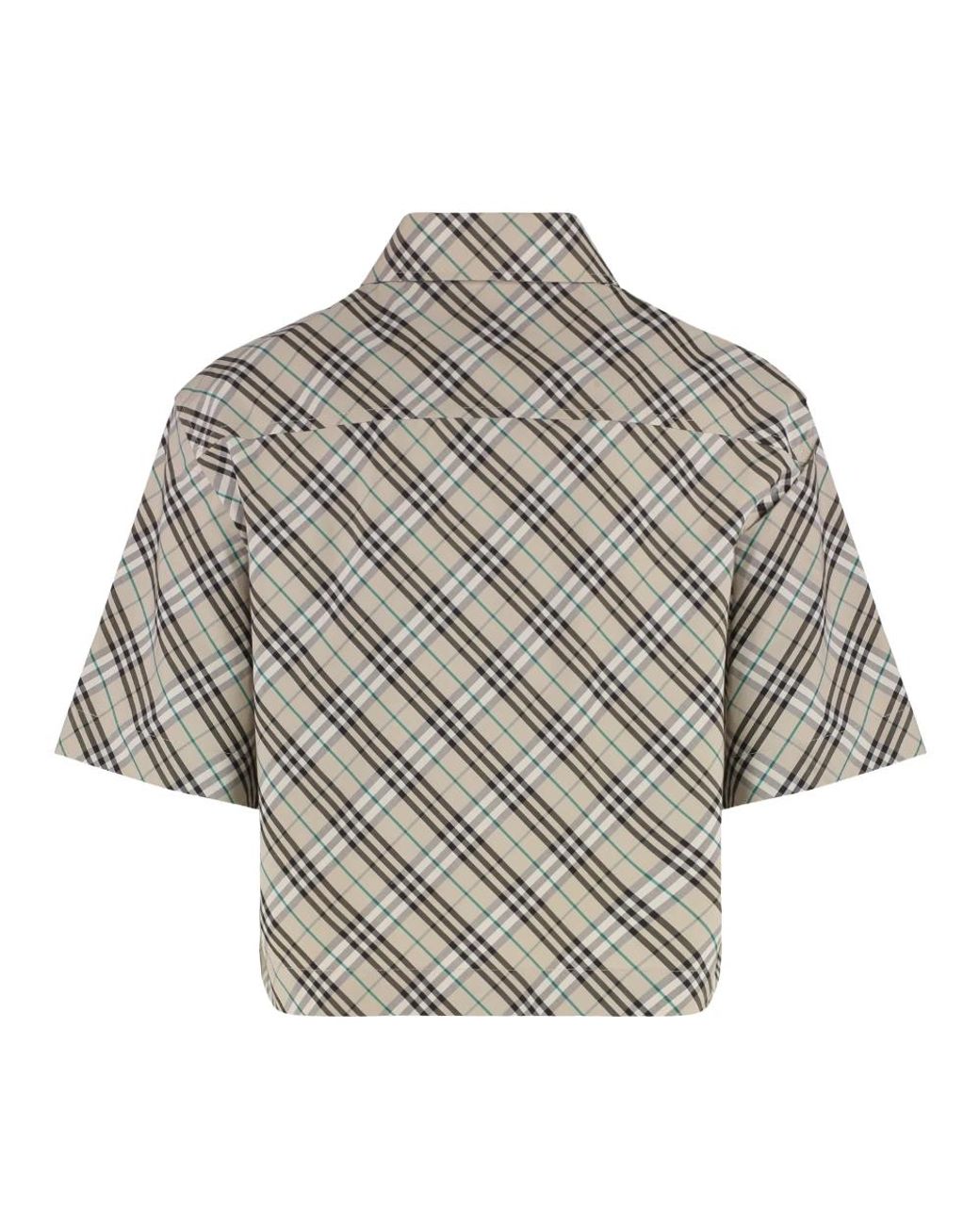 Burberry Gray Shirts