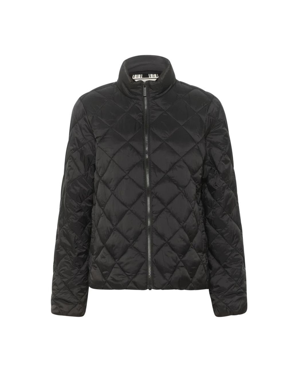 Light Jackets Part Two en coloris Black