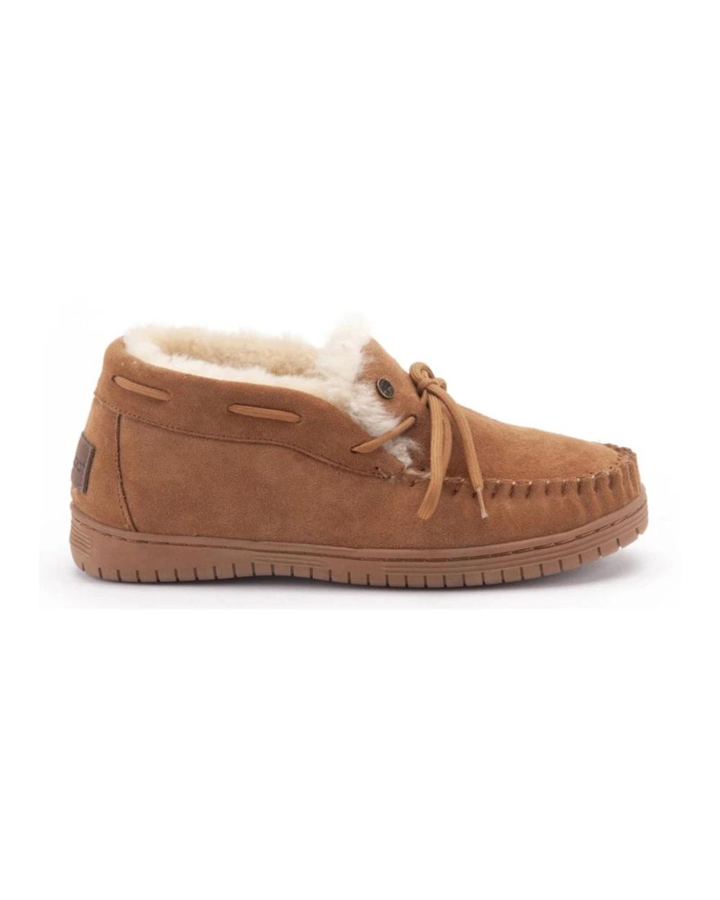 Warmbat Brown Bunya Loafer