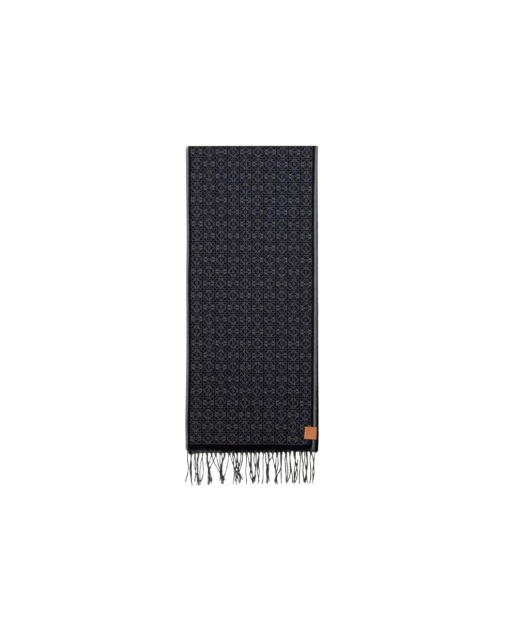 Loewe Blue Winter Scarves