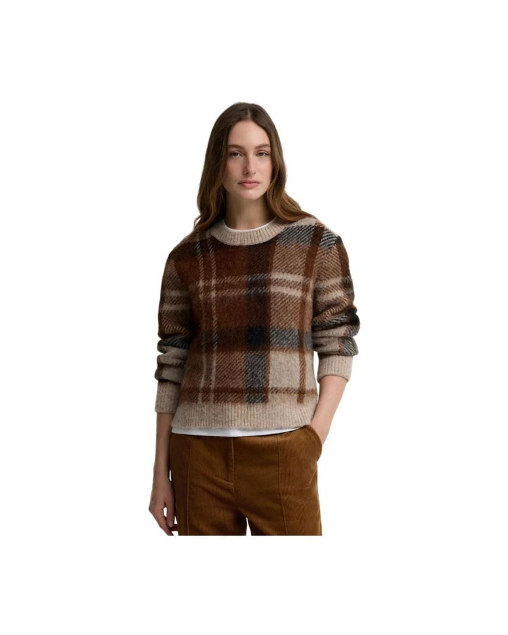 Barbour Brown Round-Neck Knitwear