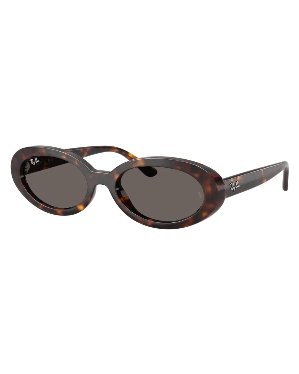 Ray-Ban Brown Sunglasses