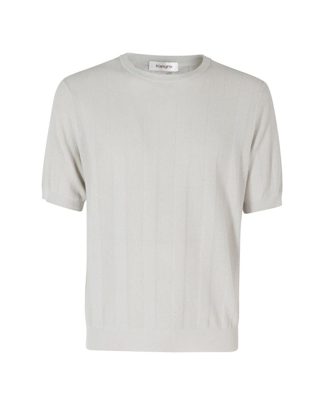 Kangra Gray Round-Neck Knitwear for men