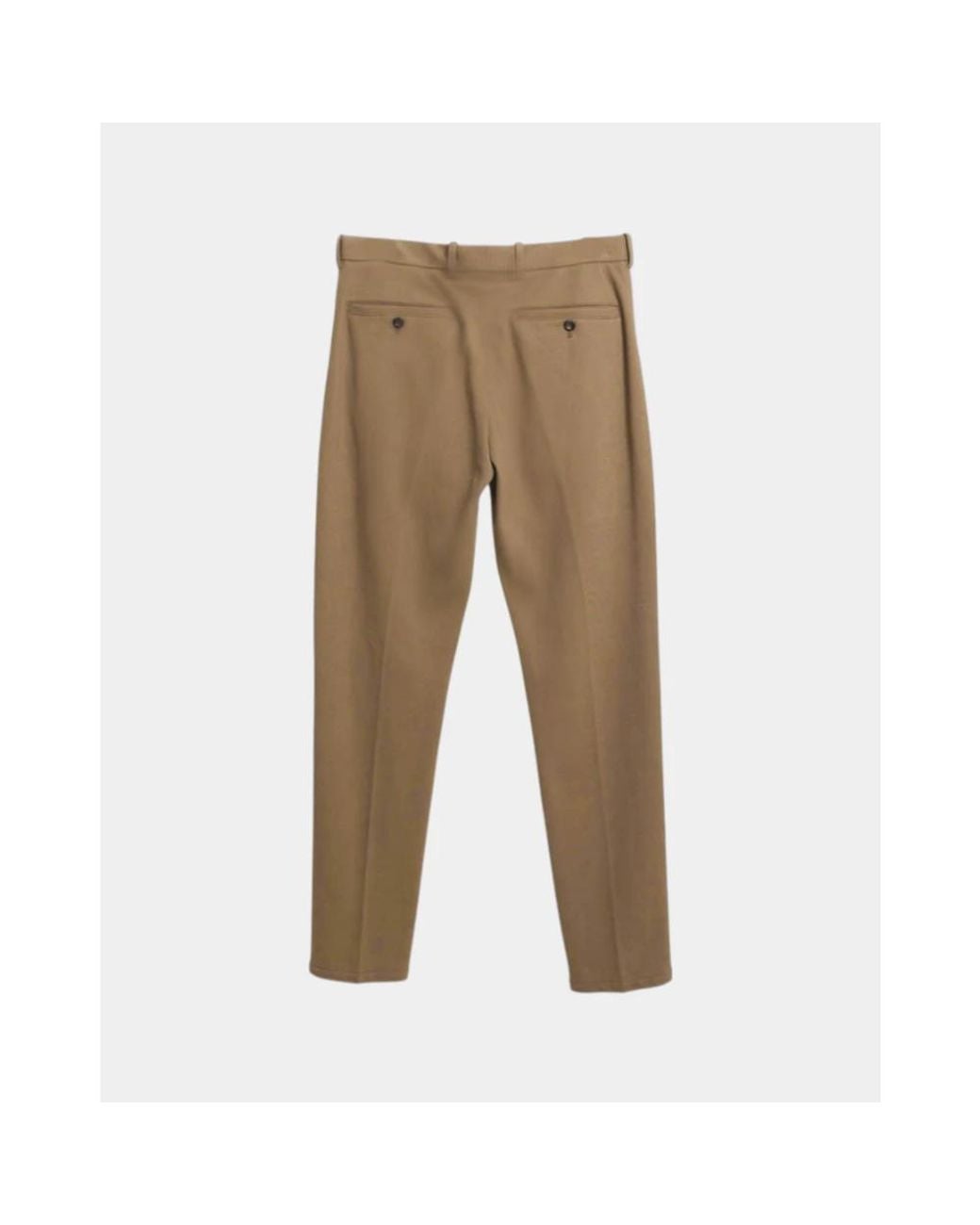 Circolo 1901 Brown Chinos for men