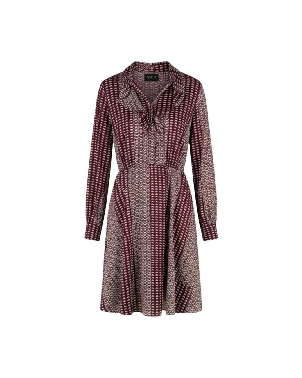 Nenette Purple Shirt Dresses